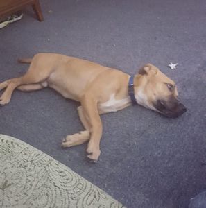 Meet your Posher, Eric